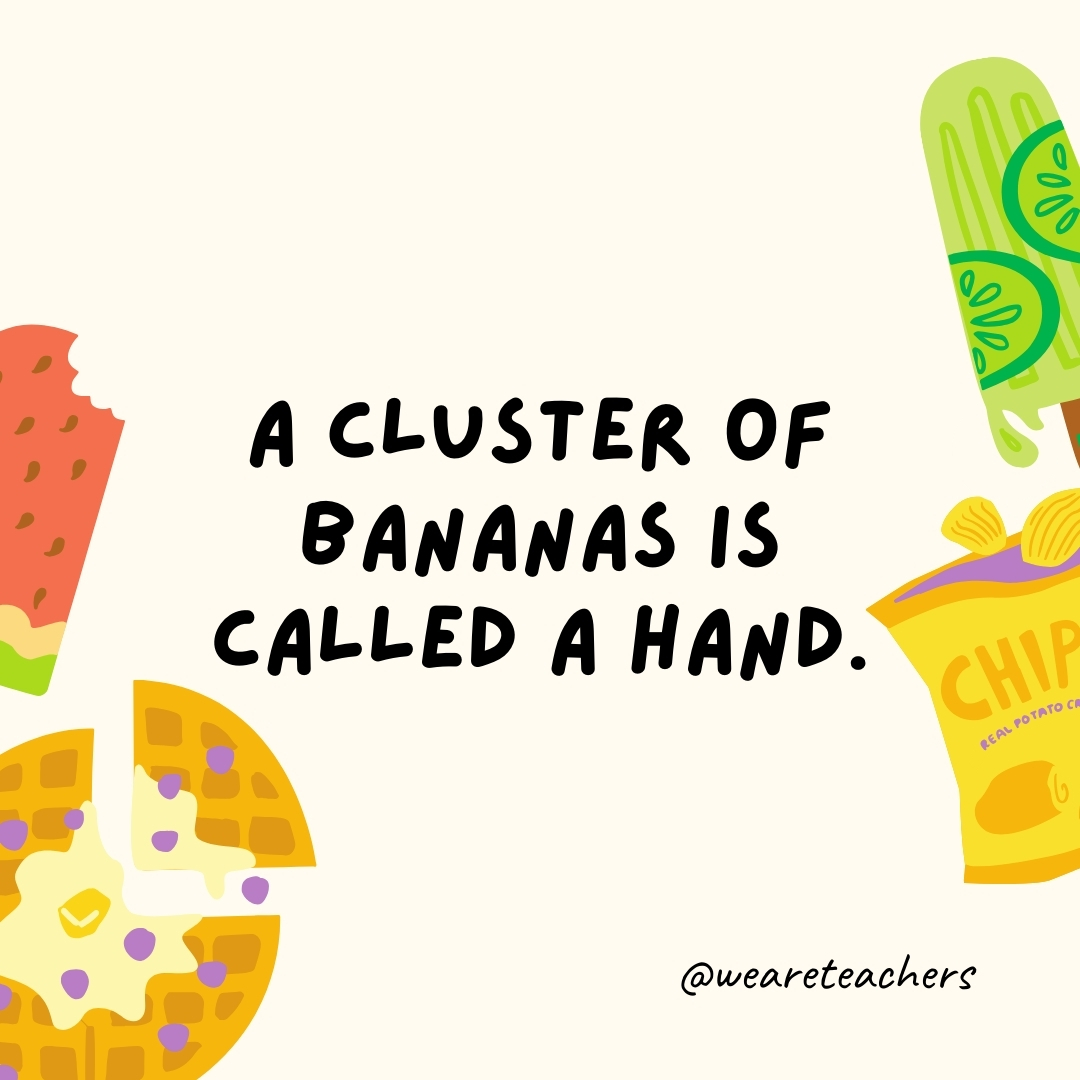A cluster of bananas is called a hand.