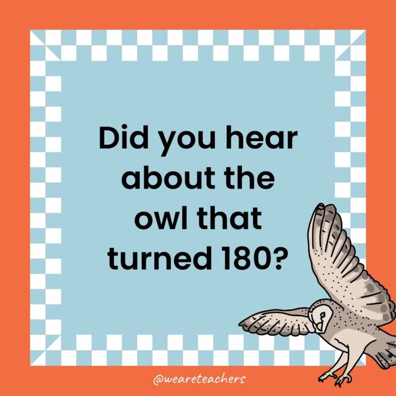 Owl Jokes for Kids a joke that states: Did you hear about the owl that turned 180?