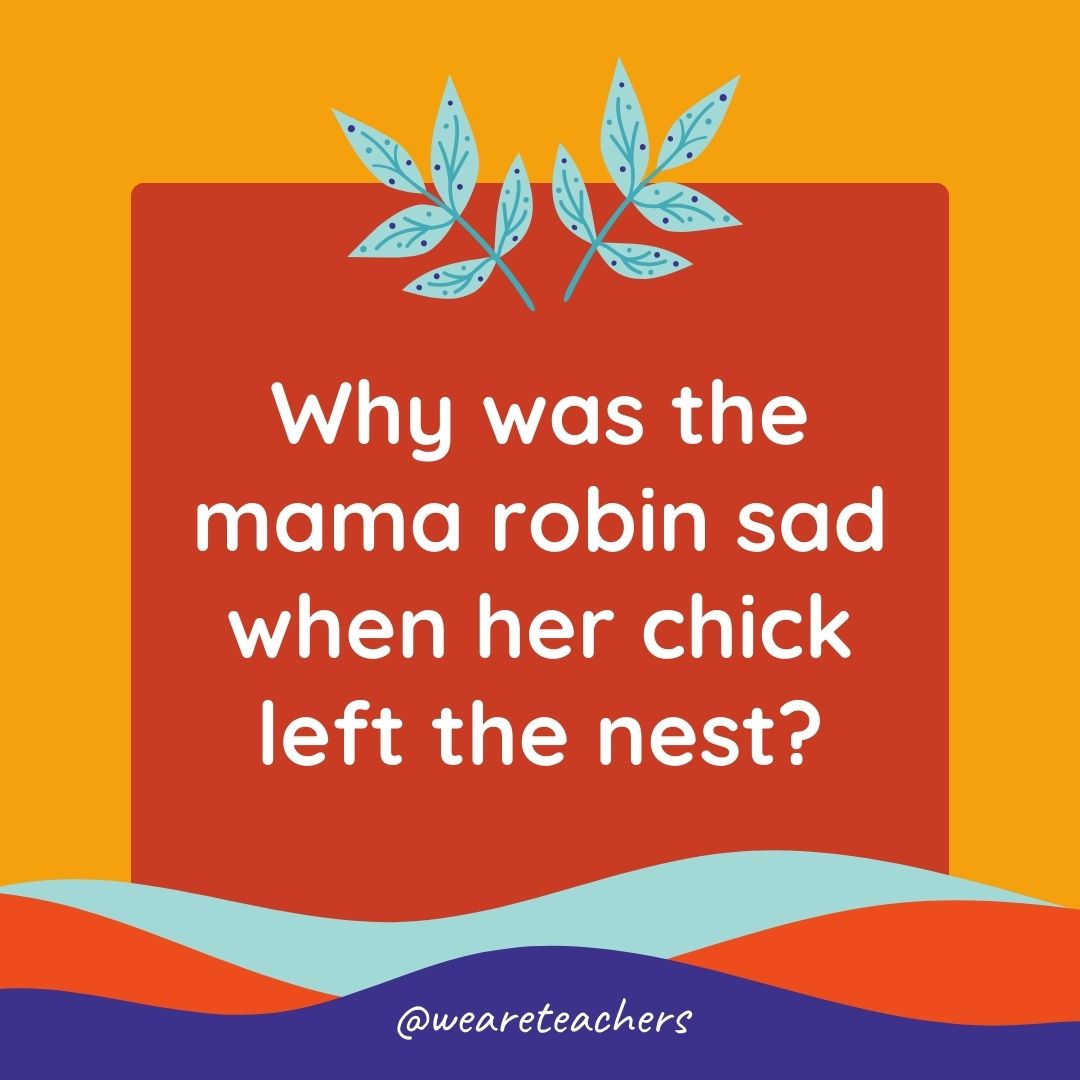 Animal Jokes for Kids