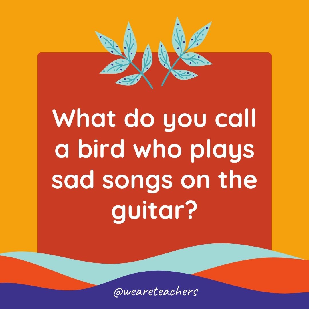 Animal Jokes for Kids