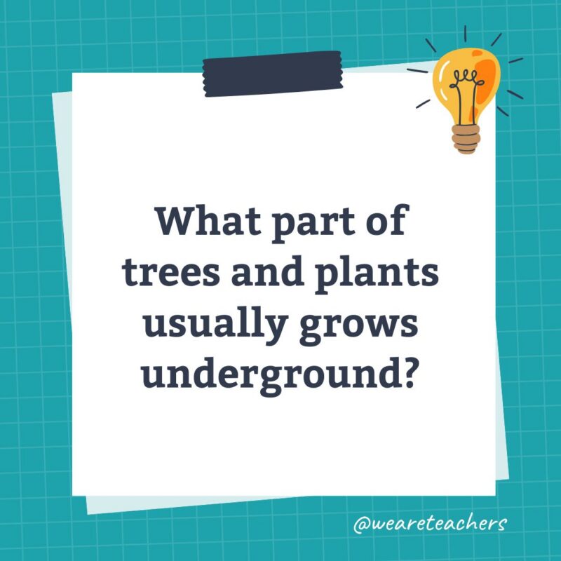an image of a science trivia question for kids that states: What part of trees and plants usually grows underground?