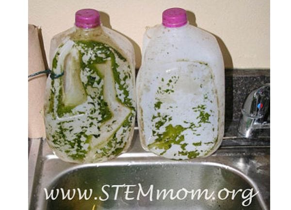 Two plastic milk jugs sitting by a sink, covered with green film