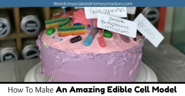Cake turned into a cell model with gummi candies and labels