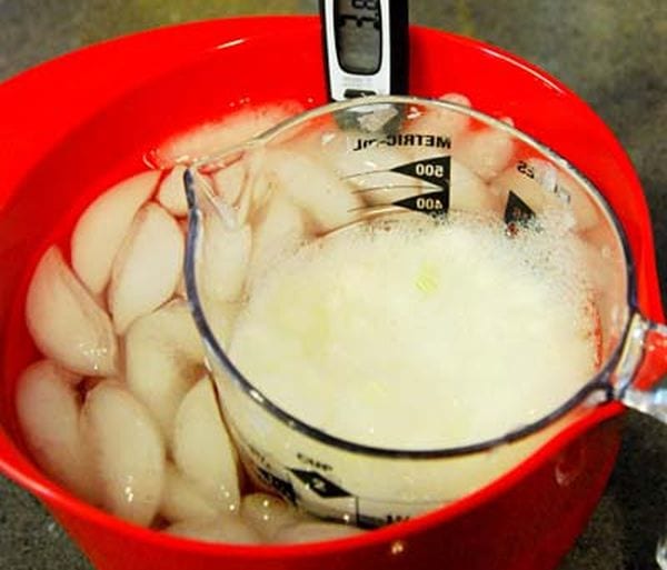 Large red bowl of ice with a thermometer and a measuring cup with frothy white liquid (Seventh Grade Science)