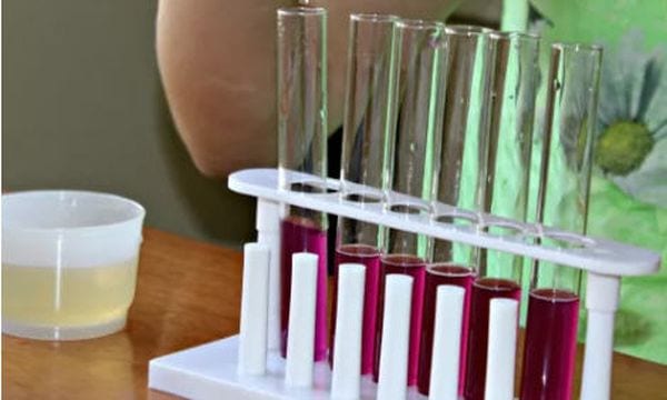 Student with a test tube holder with test tubes containing purple liquids