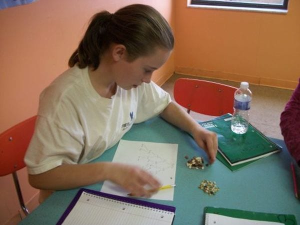 Seventh grade science student sorting a pile of seeds and making notes in a notebook