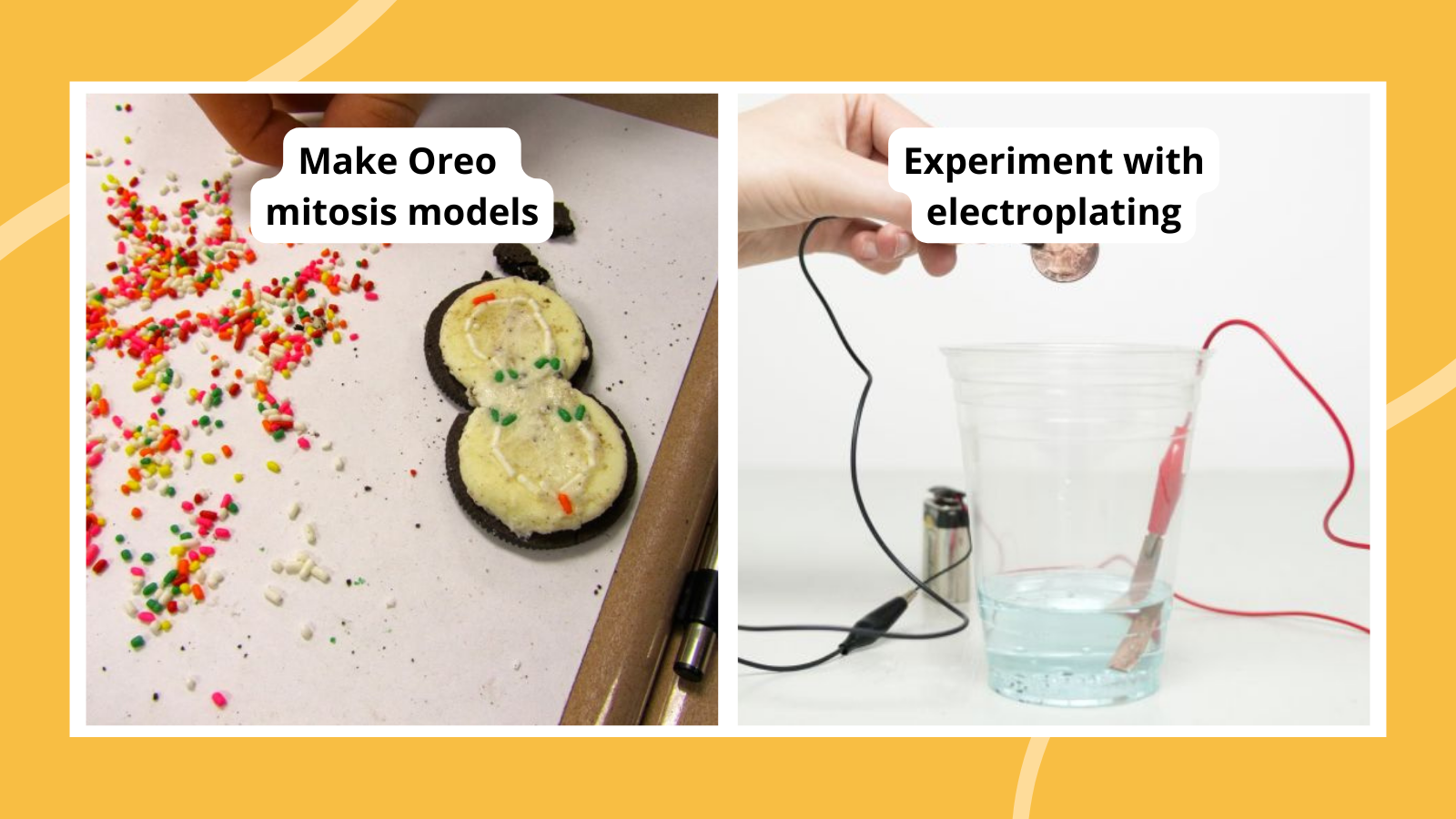 Collage of 7th grade science projects, including Oreo mitosis models and electroplating a coin