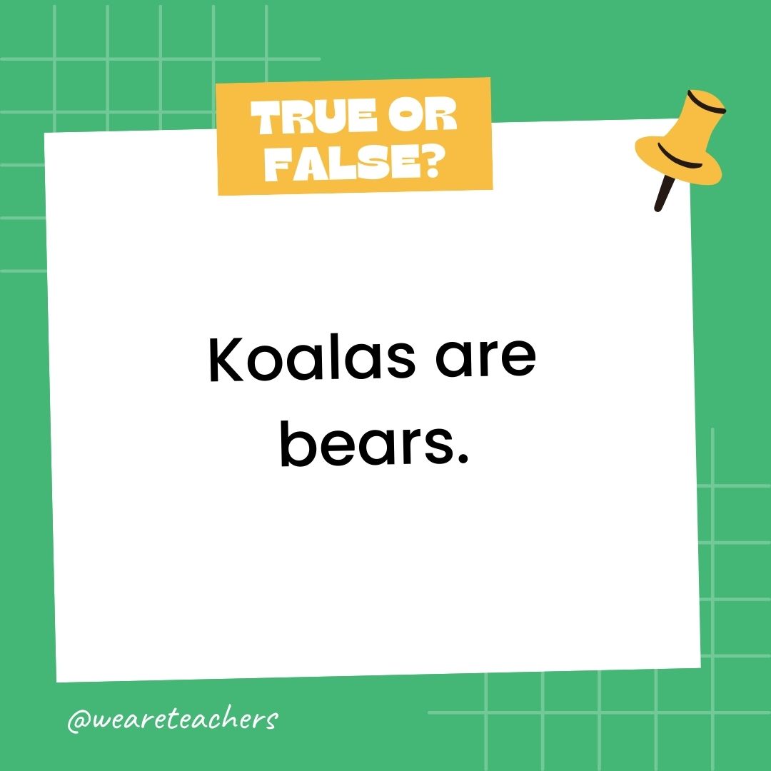 132 True or False Questions (With Answers) - August 2025