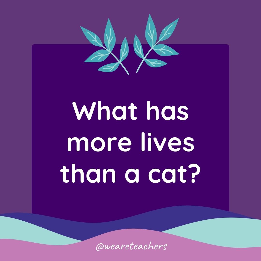 Animal Jokes for Kids