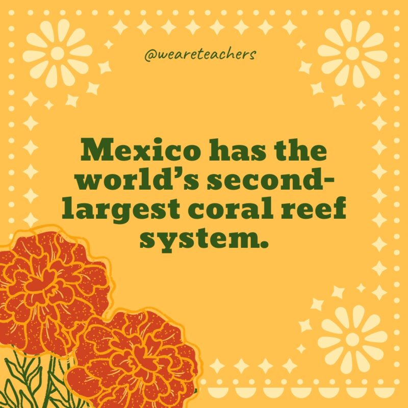 Mexico has the world’s second-largest coral reef system.