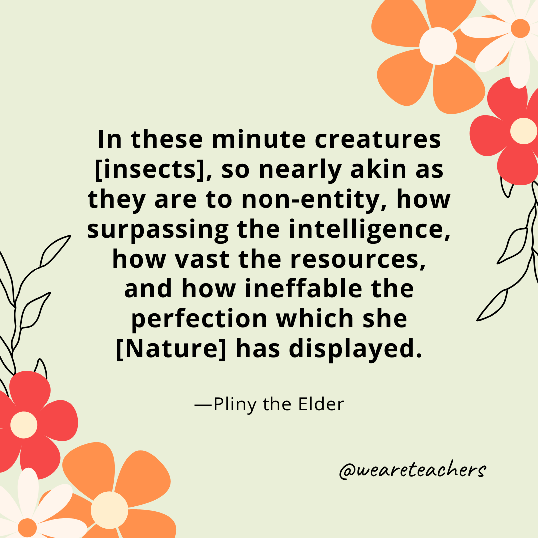 In these minute creatures [insects], so nearly akin as they are to non-entity, how surpassing the intelligence, how vast the resources, and how ineffable the perfection which she [Nature] has displayed. - Pliny the Elder