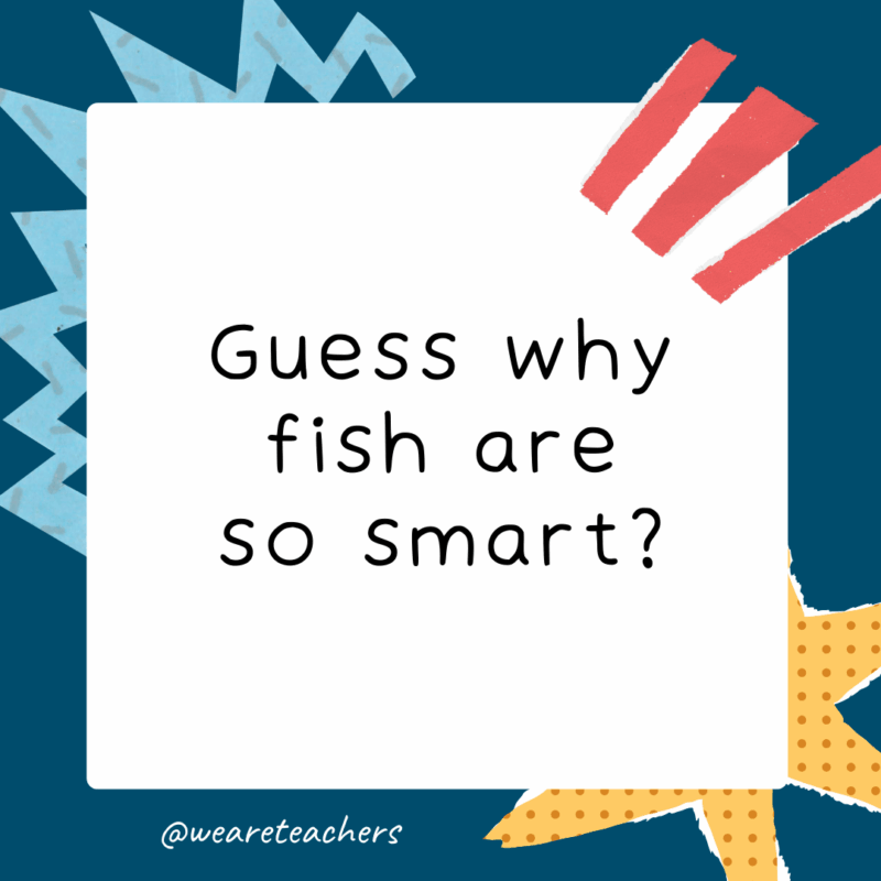 Guess What Jokes for Kids