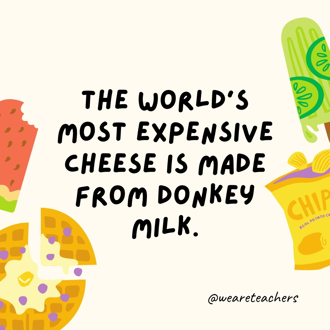 The world's most expensive cheese is made from donkey milk.