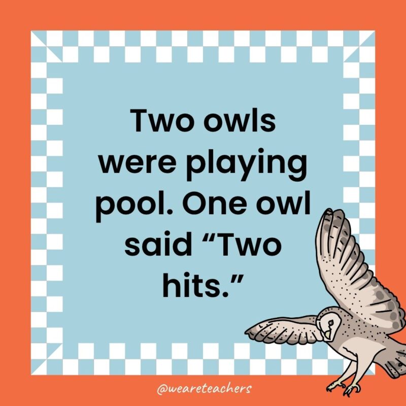 Owl Jokes for Kids a joke that states: Two owls were playing pool. One owl said “Two hits.”
