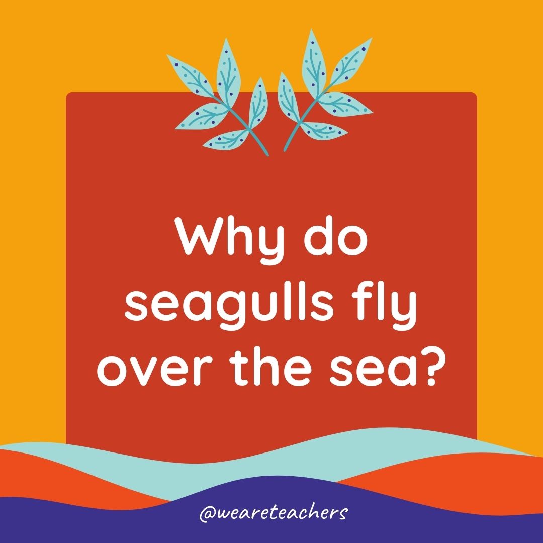 Animal Jokes for Kids