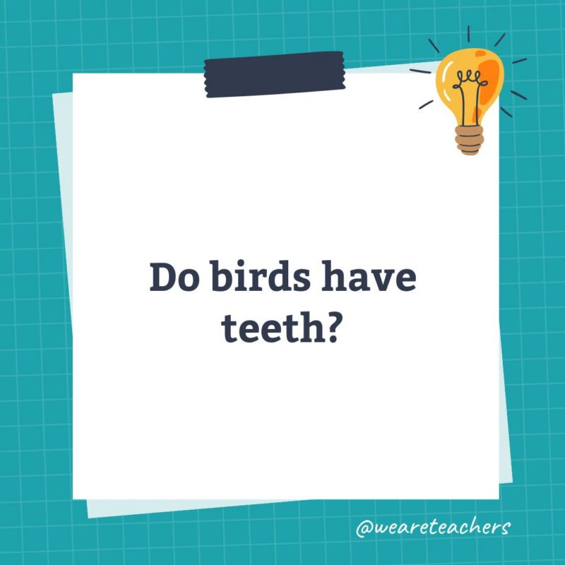 an image of a science trivia question for kids that states: Do birds have teeth?