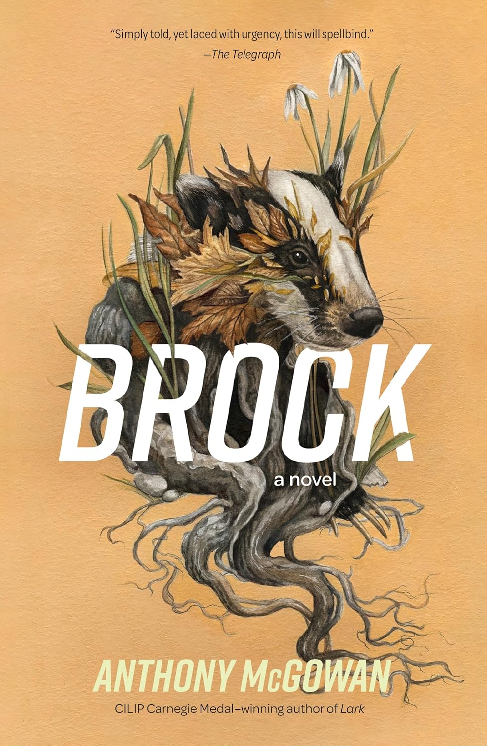 middle school books - Brock: A Novel by Anthony McGowan
