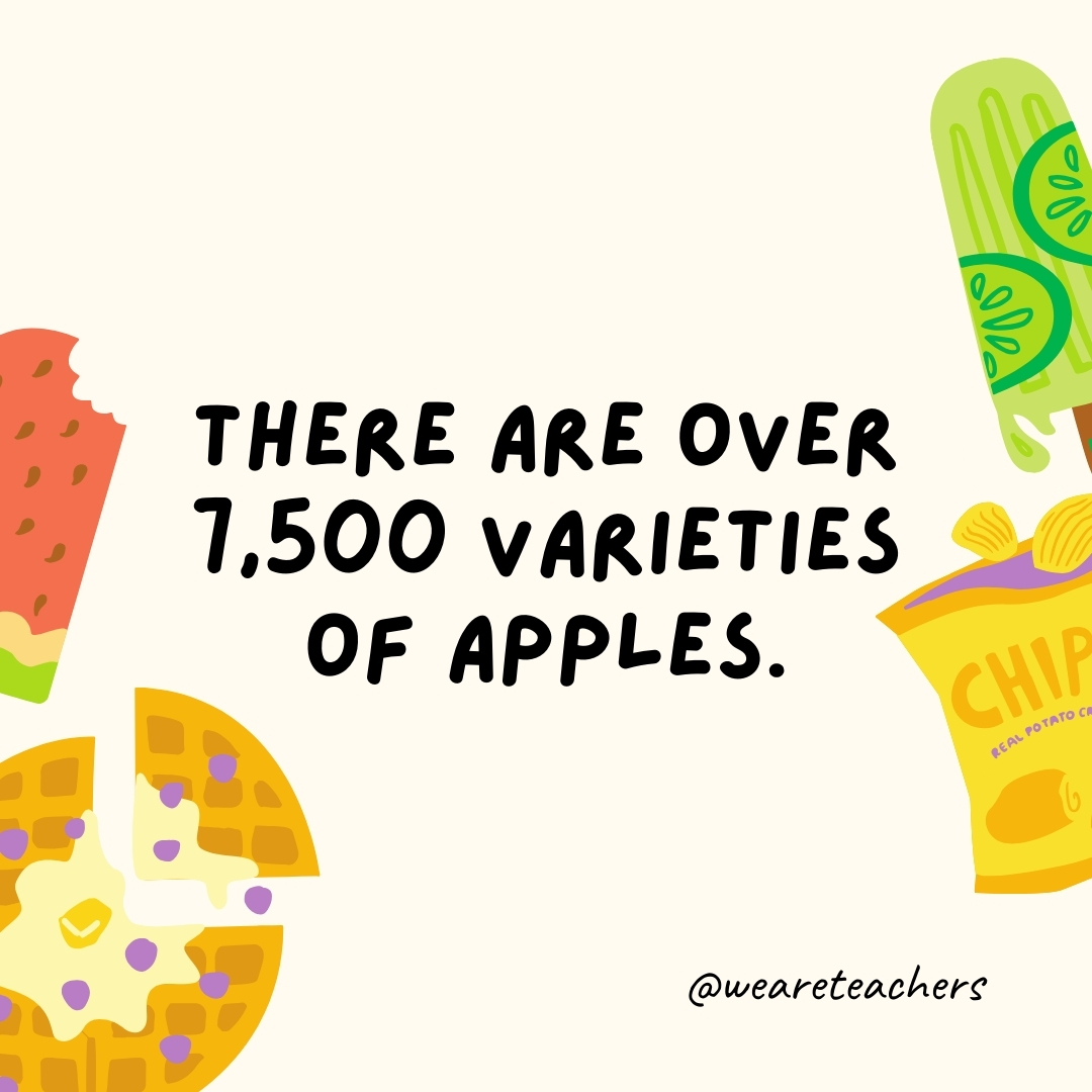 There are over 7,500 varieties of apples.- fun food facts