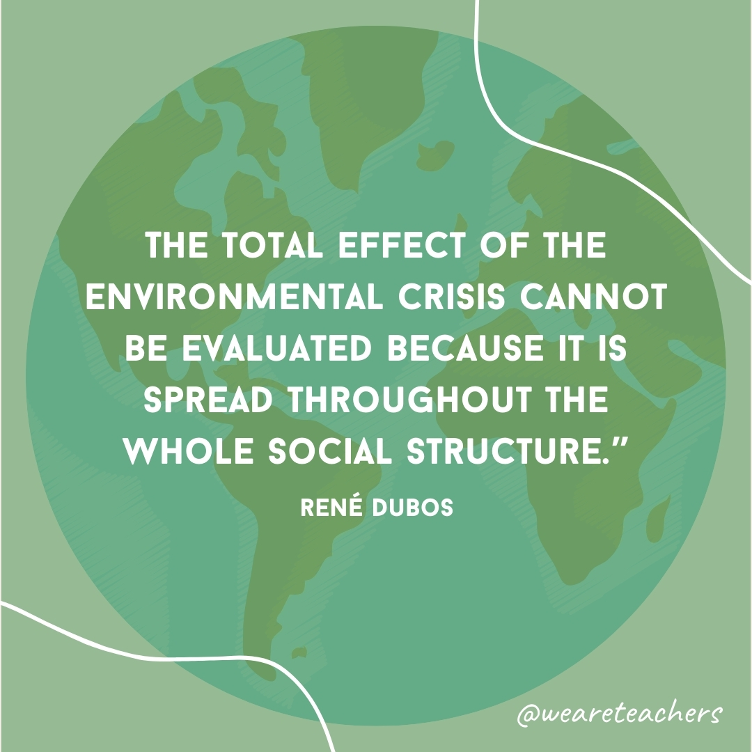 The total effect of the environmental crisis cannot be evaluated because it is spread throughout the whole social structure.
