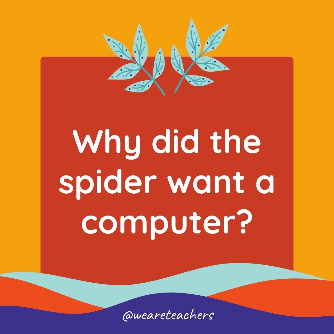 Animal Jokes for Kids