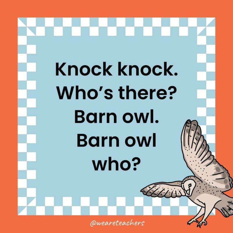Owl Jokes for Kids a joke that states: Knock knock. Who’s there? Barn owl. Barn owl who?