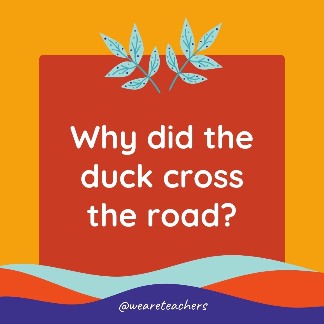 Animal Jokes for Kids