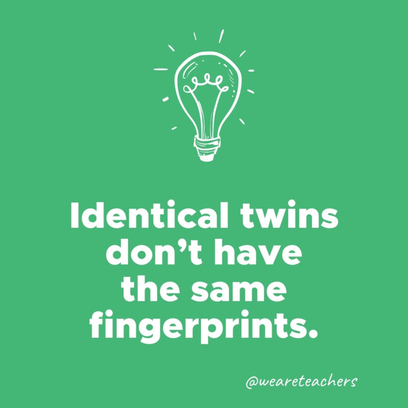 Identical twins don’t have the same fingerprints. - weird fun facts