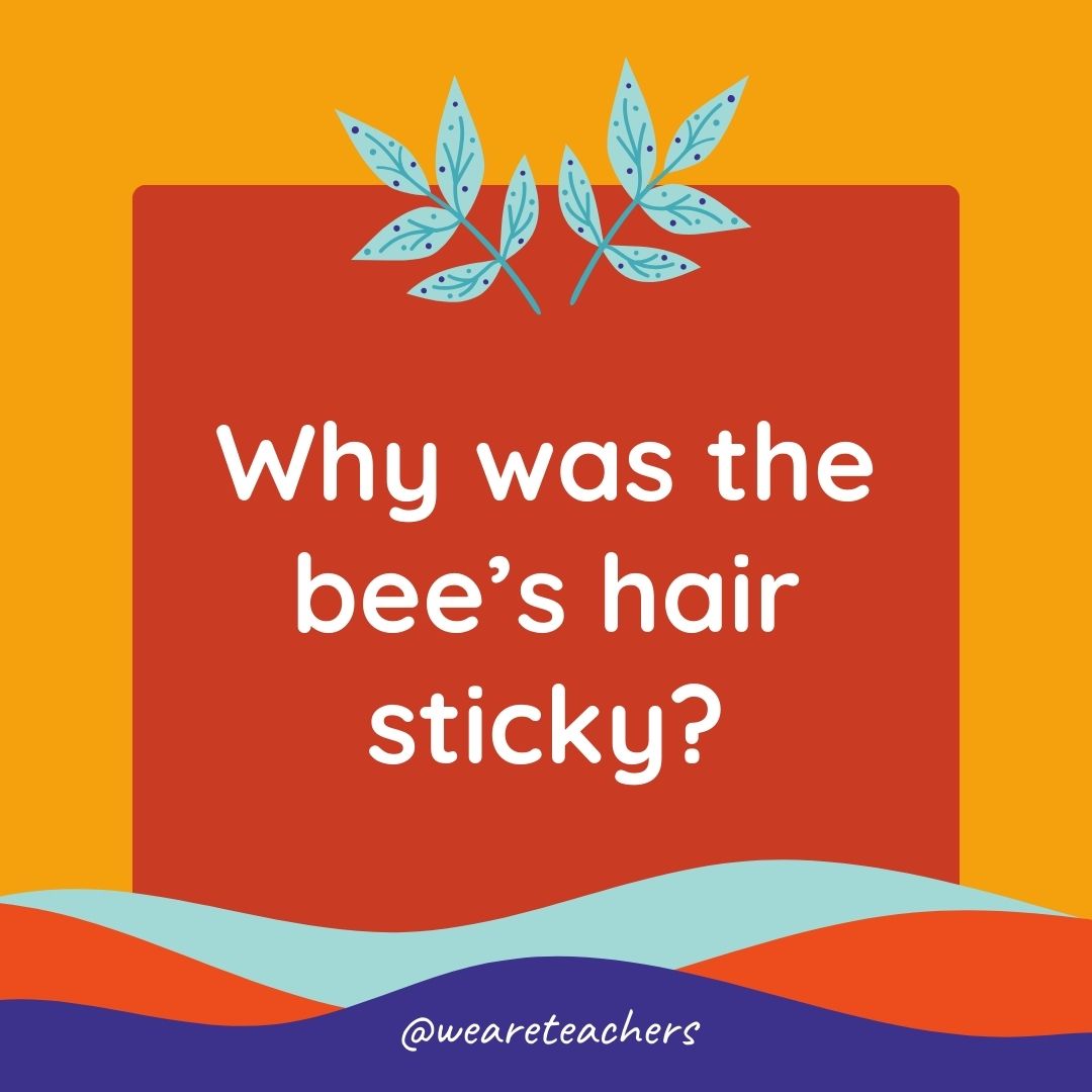 Animal Jokes for Kids