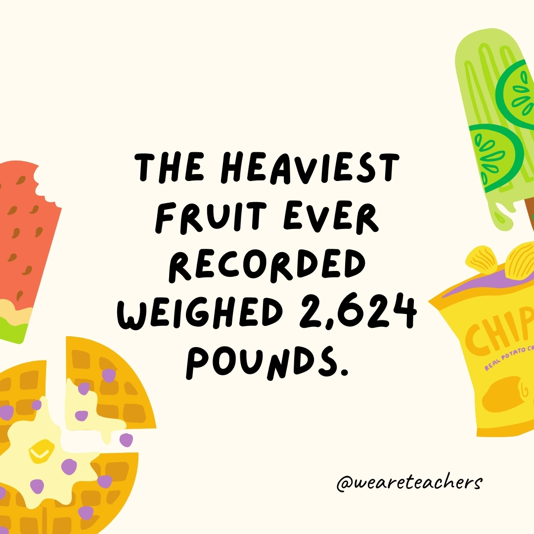 The heaviest fruit ever recorded weighed 2,624 pounds.
