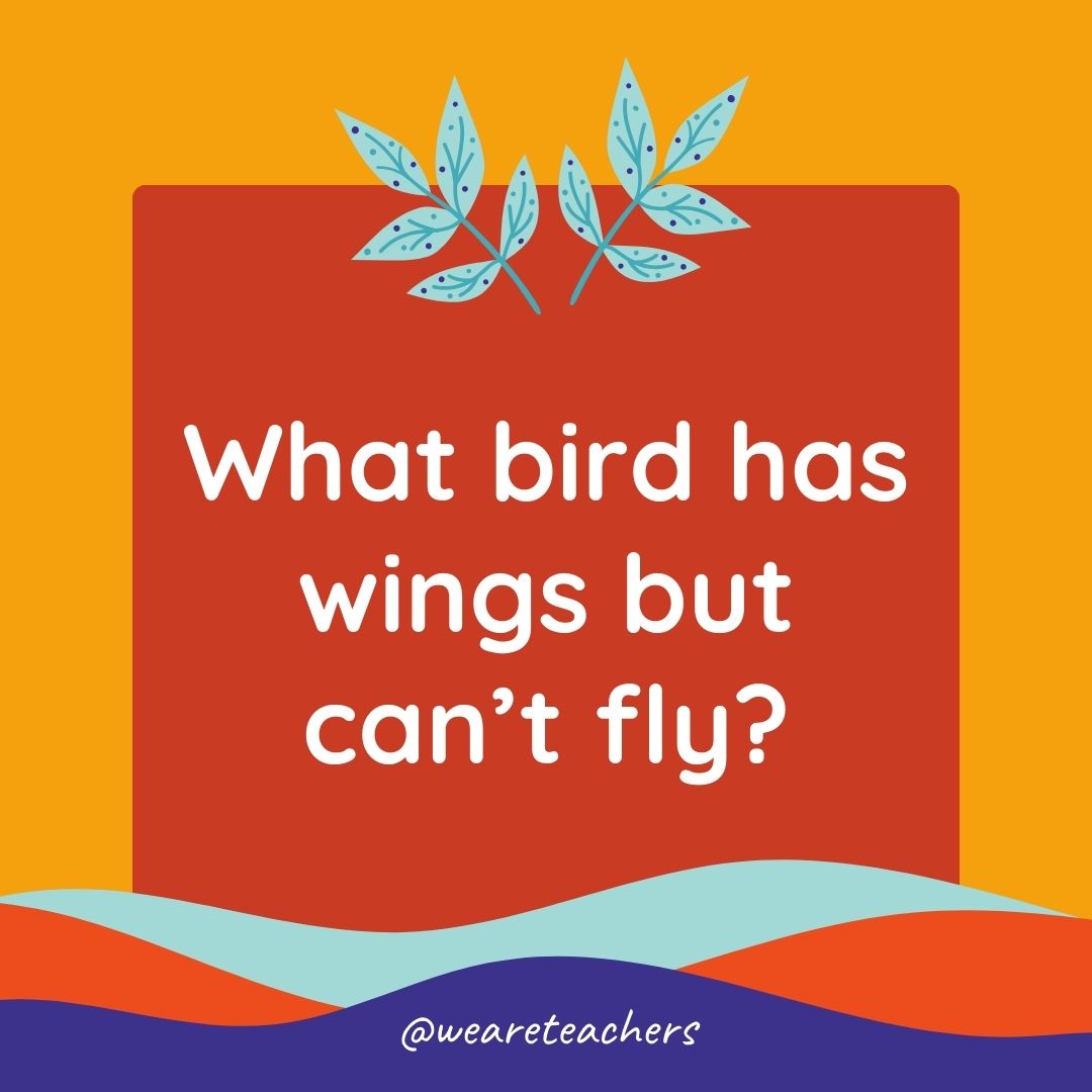 Animal Jokes for Kids