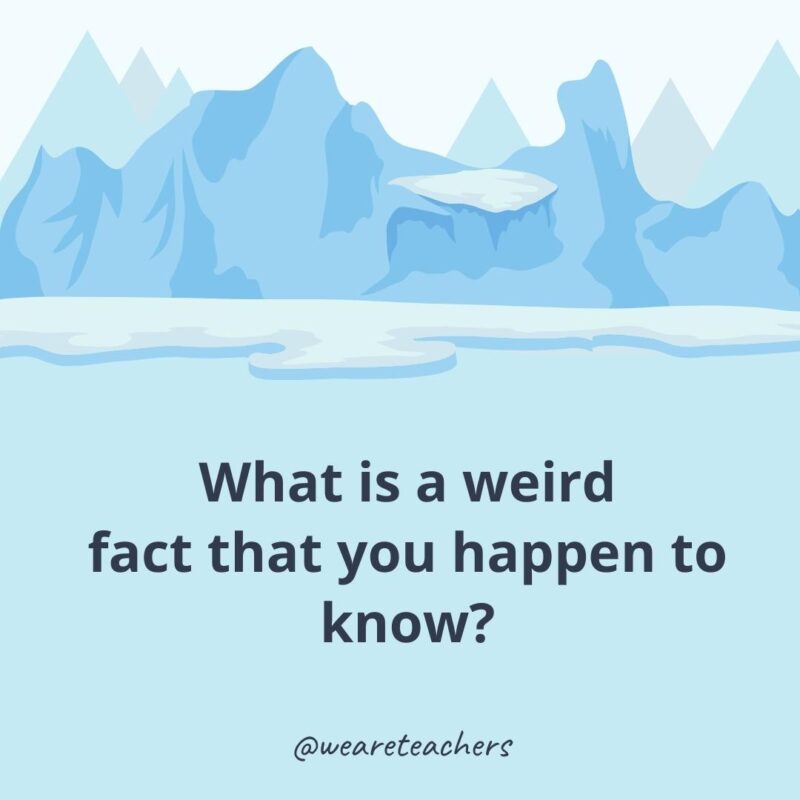 What is a weird fact that you happen to know?