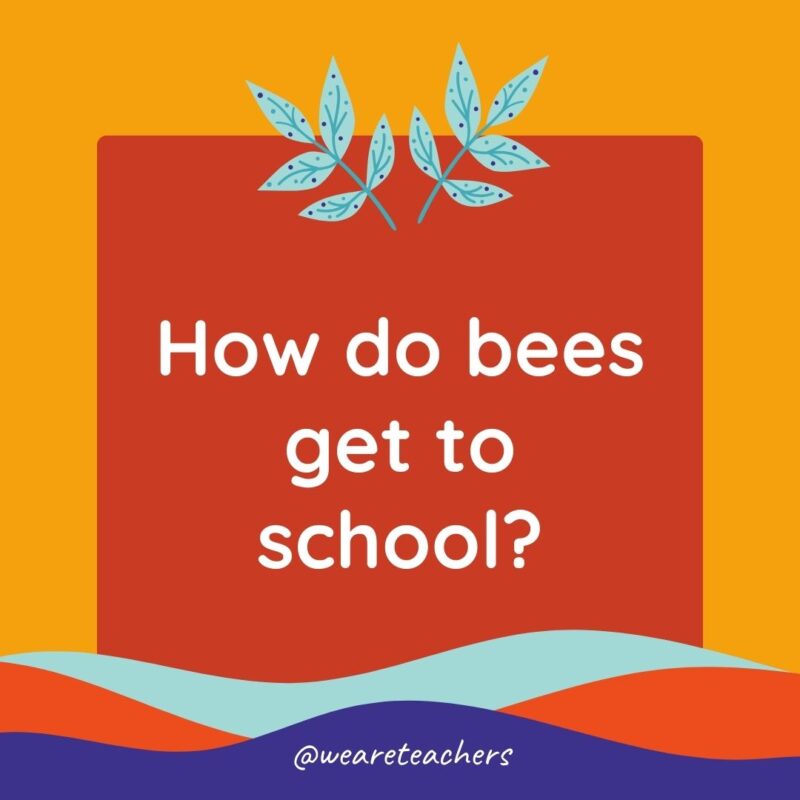 Animal Jokes for Kids