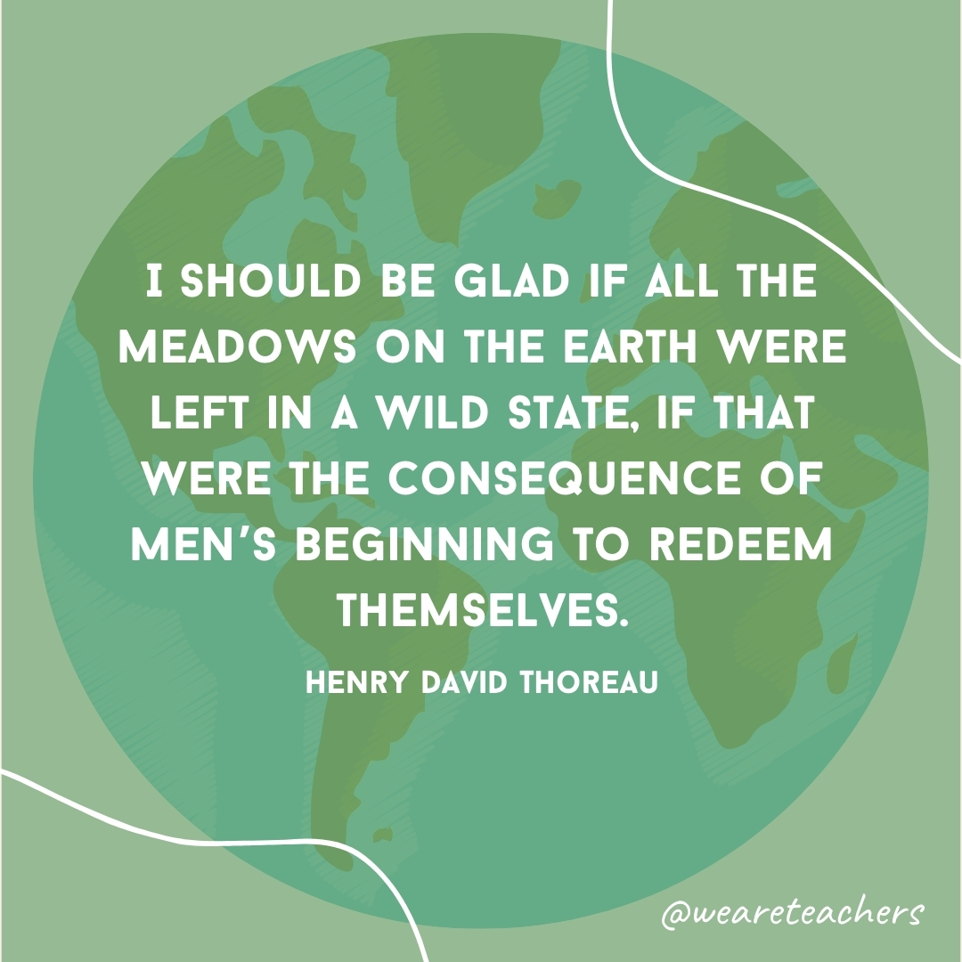 I should be glad if all the meadows on the earth were left in a wild state, if that were the consequence of men's beginning to redeem themselves.