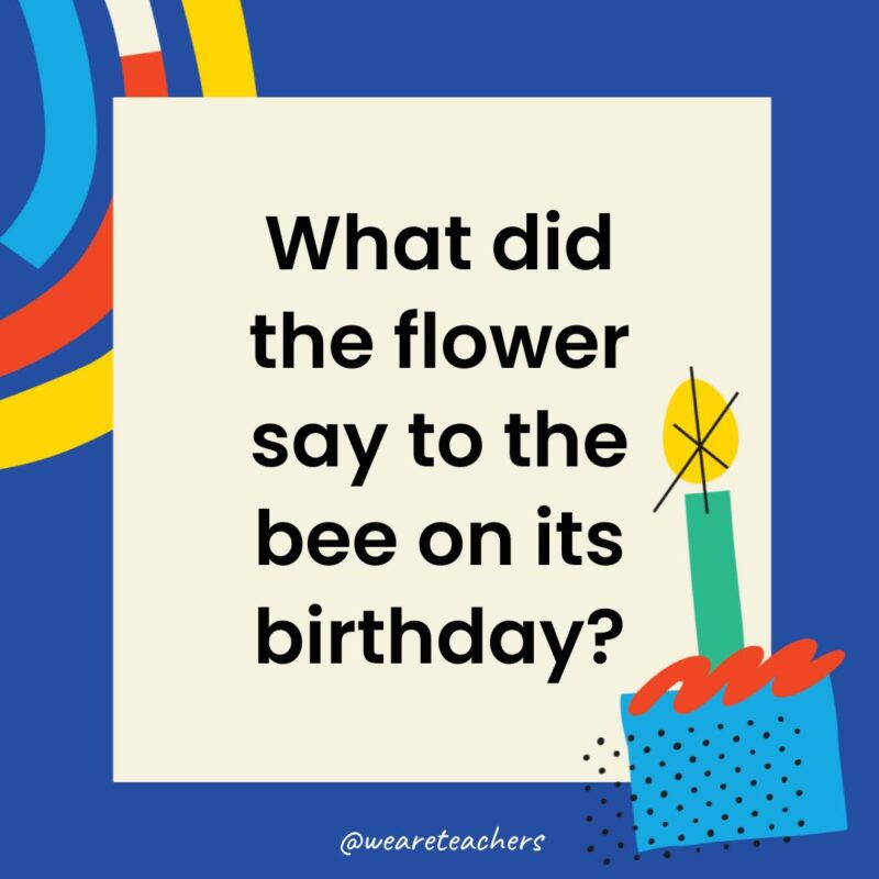 Birthday Jokes for Kids What did the flower say to the bee on its birthday?