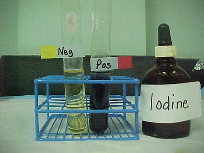 Test tube with yellow liquid labeled neg, test tube with black liquid labeled pos, and stoppered bottle filled with iodine