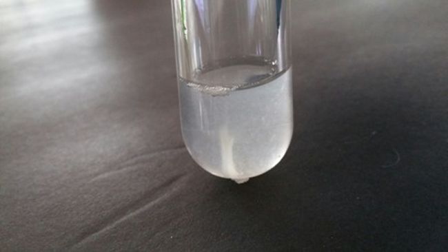 Test tube with cloudy liquid and small white floating strand