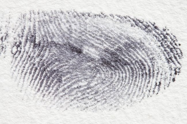 Large fingerprint in black ink on white paper (Eighth Grade Science)
