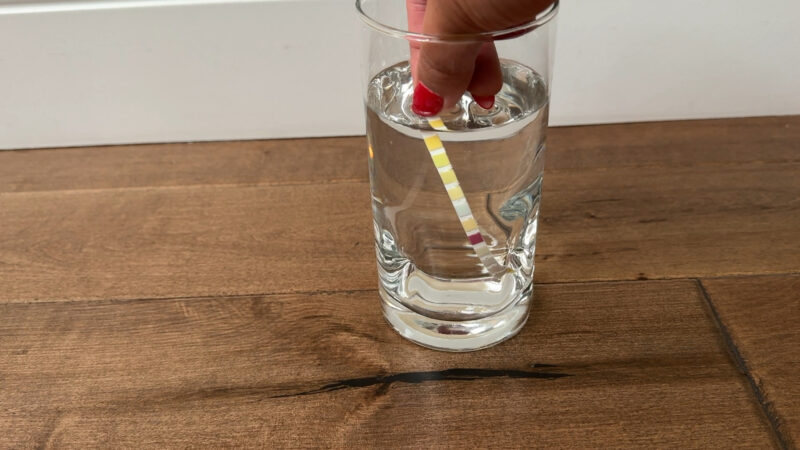 an image of an 8th grade science fair experiment showcasing testing the pH on different liquids