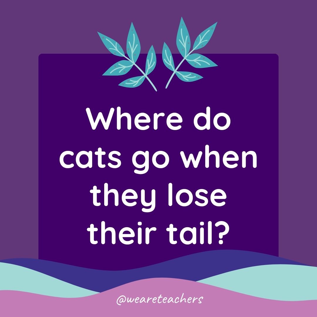 Animal Jokes for Kids