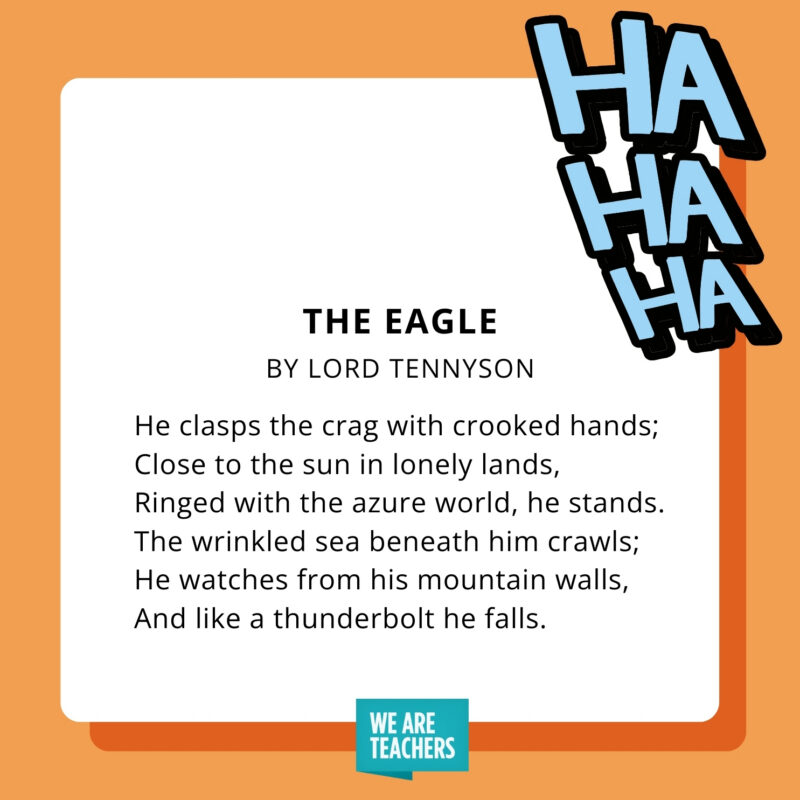 an image of a funny poem for kids: The Eagle