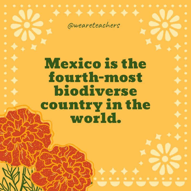 Mexico is the fourth-most biodiverse country in the world.