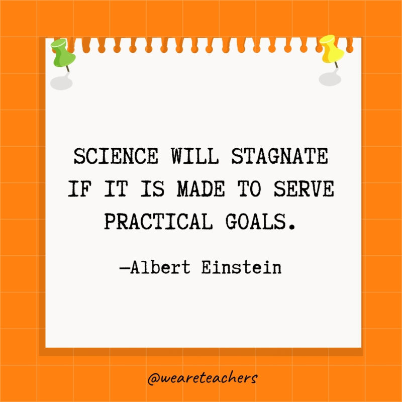 Science will stagnate if it is made to serve practical goals.