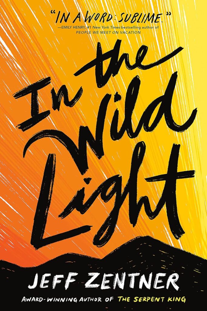 Cover of In The Wild Light by Jeff Zentner