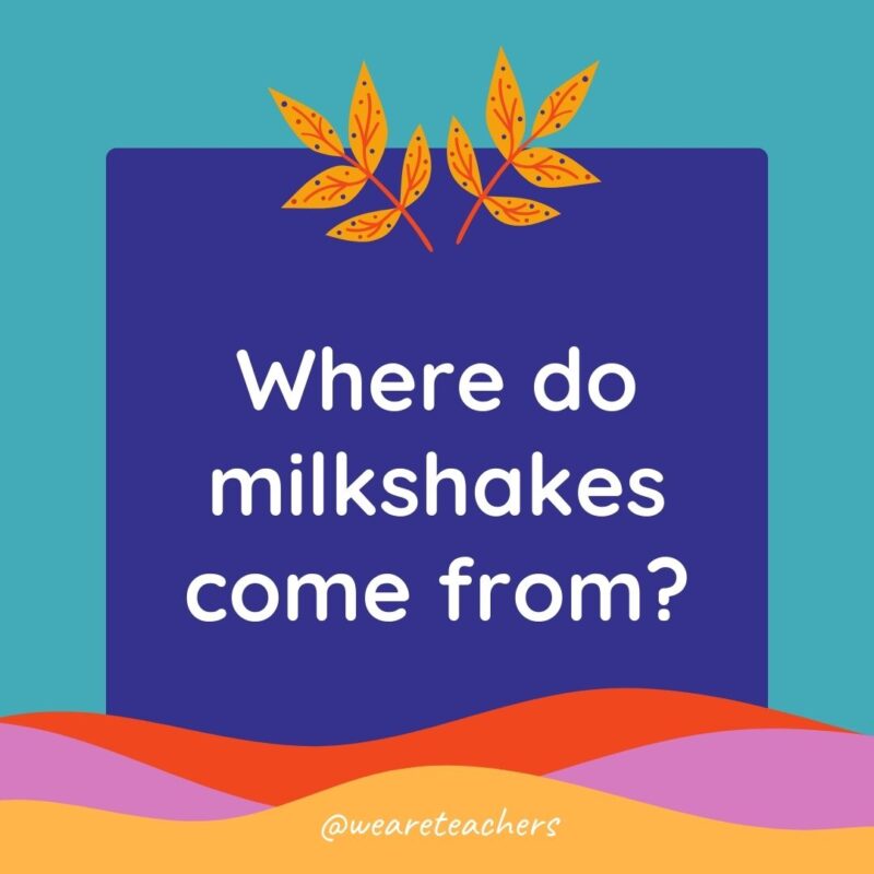 Animal Jokes for Kids