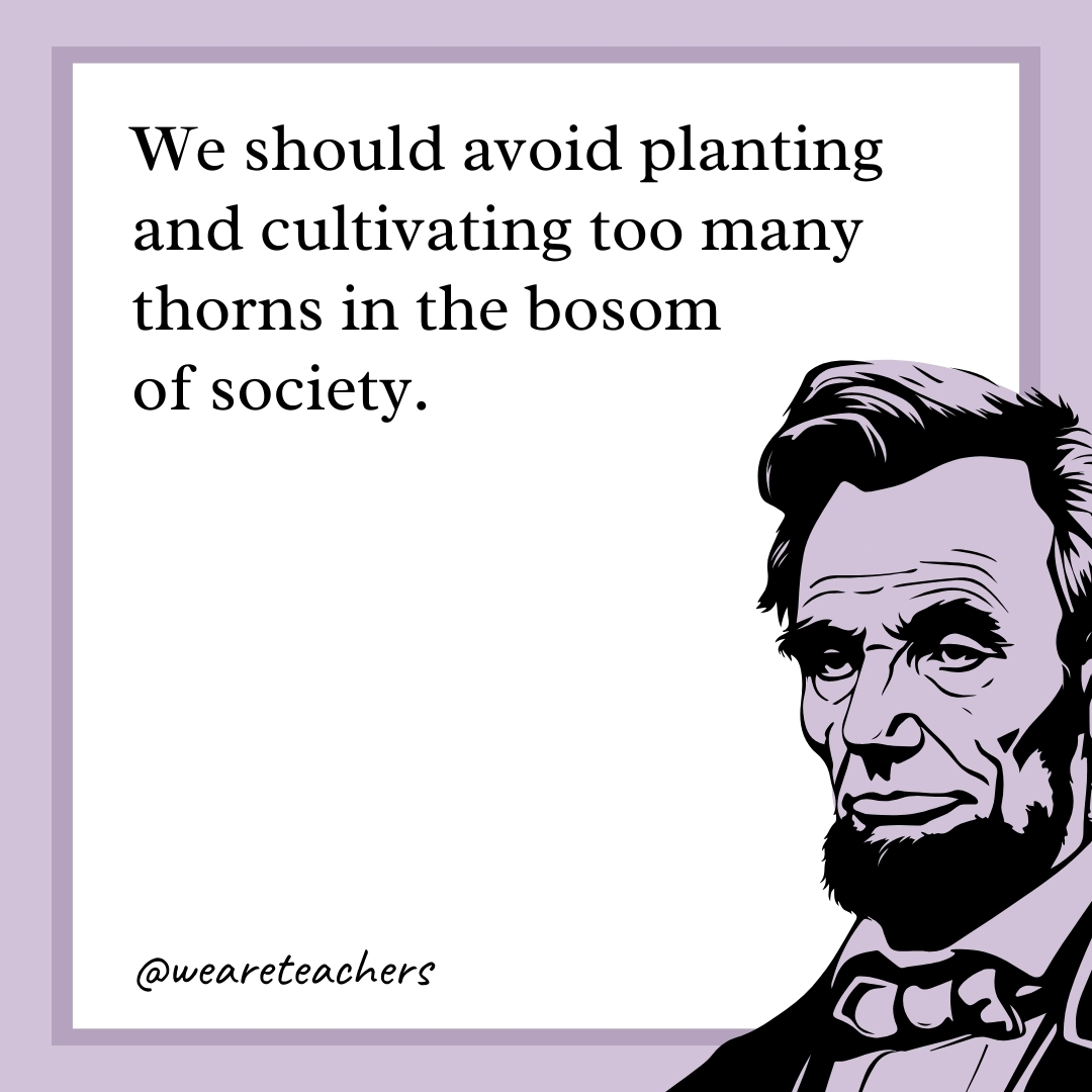 We should avoid planting and cultivating too many thorns in the bosom of society.- abraham lincoln quotes