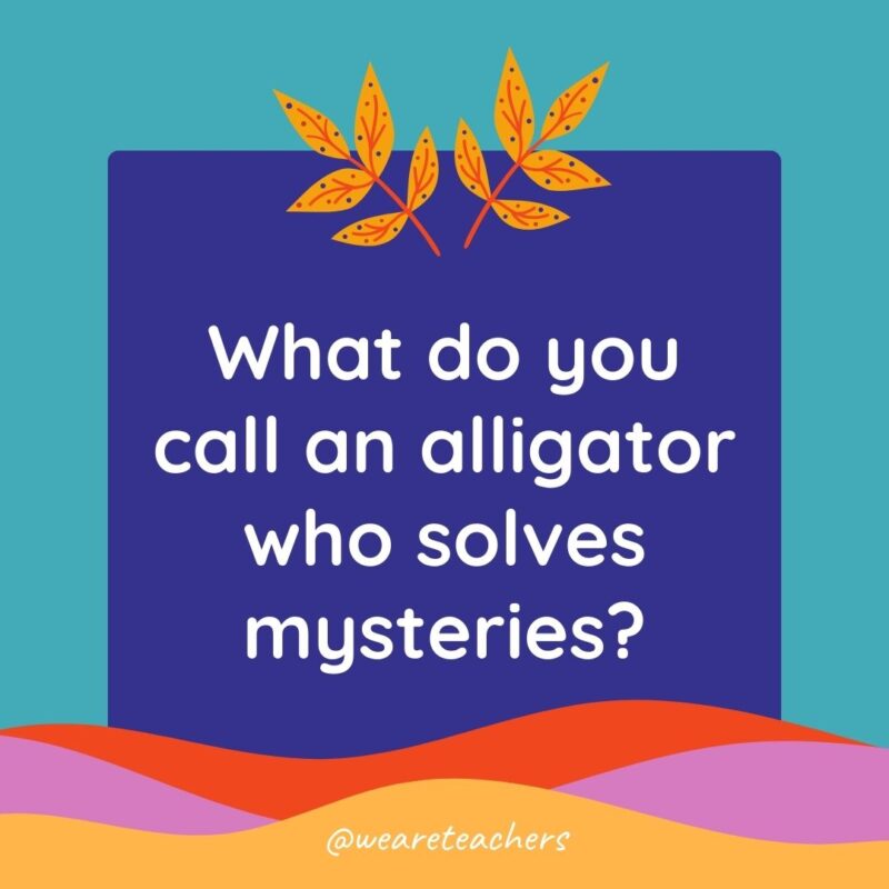 Animal Jokes for Kids