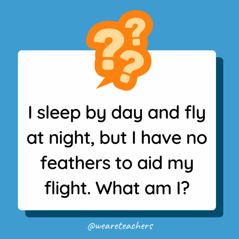 Riddles for High School Students