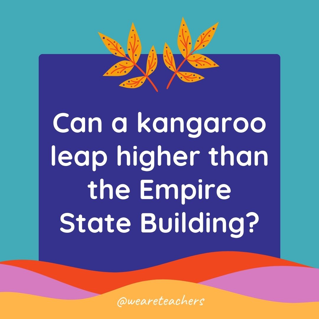 Animal Jokes for Kids