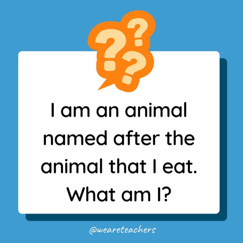 Riddles for High School Students