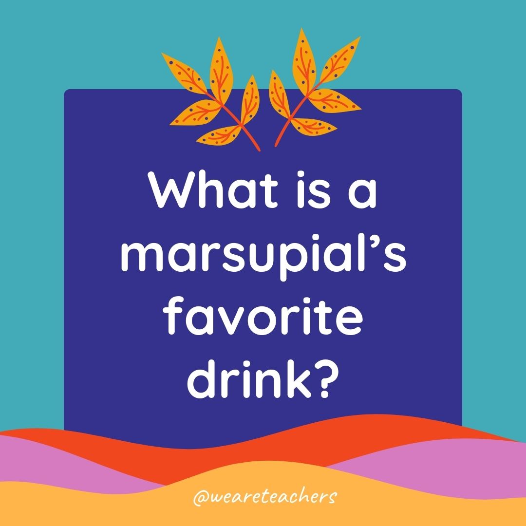 Animal Jokes for Kids